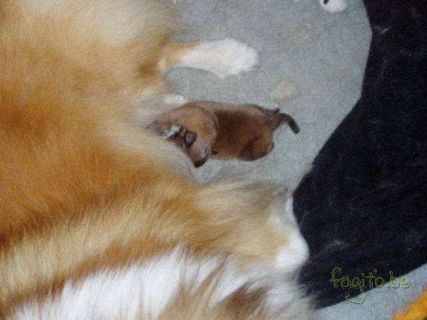 Lekker drinken bij de mama