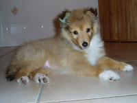 Wat was ik daar nog klein