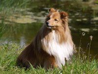 Even poseren, en daarna een snoepje?