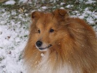 Hmm sneeuw, wat hou ik daarvan!