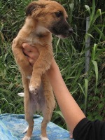 Hier was ik nog een zielig dutske in Spanje