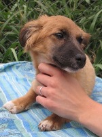 Hier was ik nog het zielige dutske in Spanje