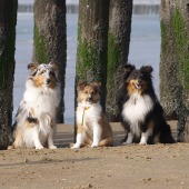 Xkippy, Cayenne en Whisper